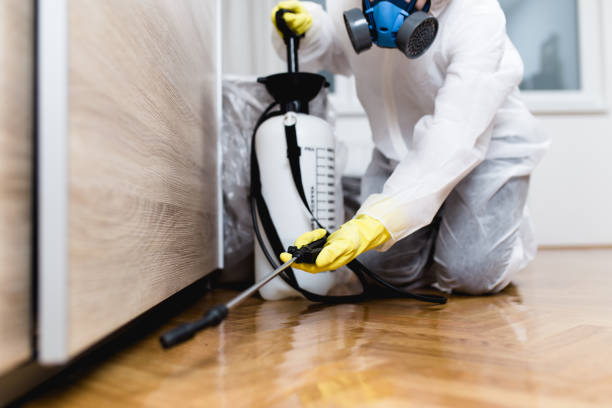 Best Insect Control  in Manasquan, NJ