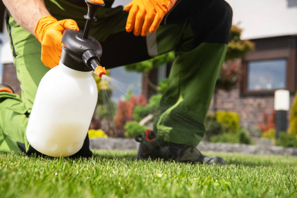 Bird Control in Manasquan, NJ