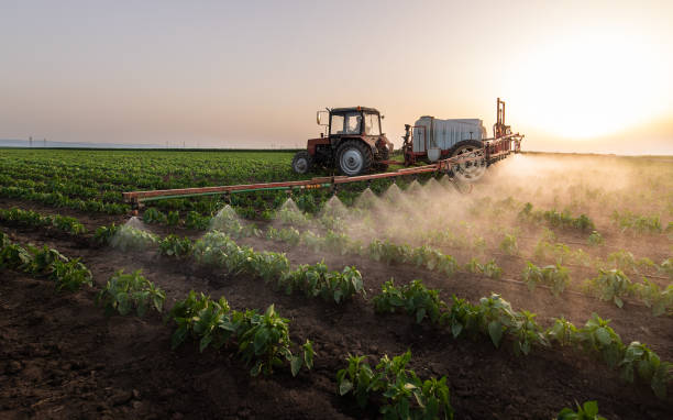Best Mosquito Control Services  in Manasquan, NJ