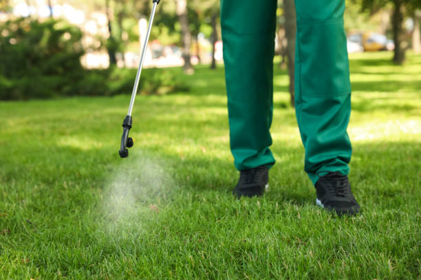 Best Termite Control Services  in Manasquan, NJ