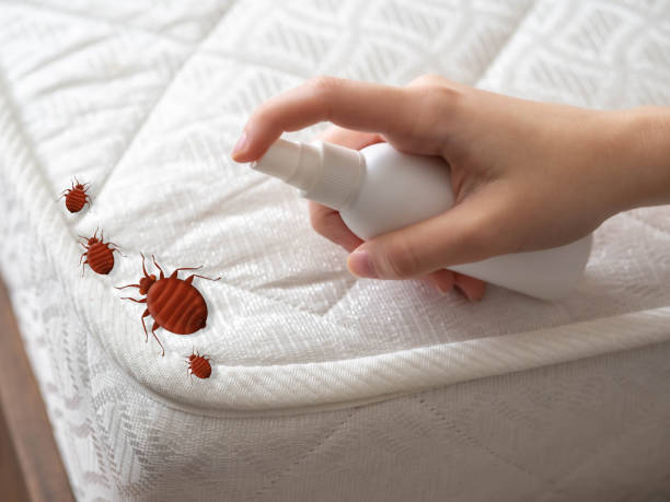 Best Pest Inspection Near Me  in Manasquan, NJ