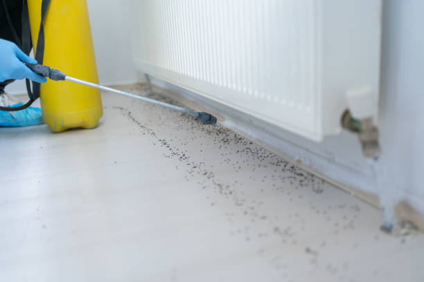Best Mosquito Control Services  in Manasquan, NJ