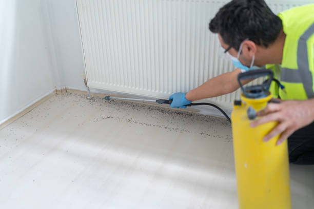 Best Rat Extermination Near Me  in Manasquan, NJ
